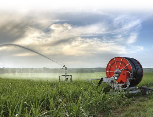 Controllo irrigazione tramite smartphone